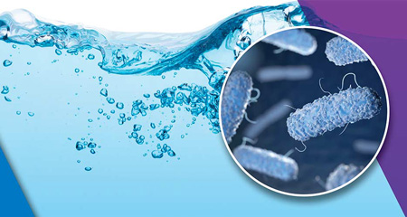 Conheça as bactérias que podem estar presentes em sistemas de água.