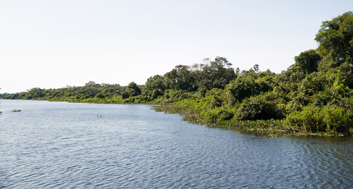Foto do pantanal brasileiro