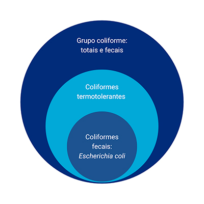 O grupo dos coliformes fecais inclui diversas espécies de bactérias, mas uma das mais conhecidas e estudadas é a Escherichia coli