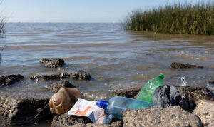 Foto de rio com lixos à margem