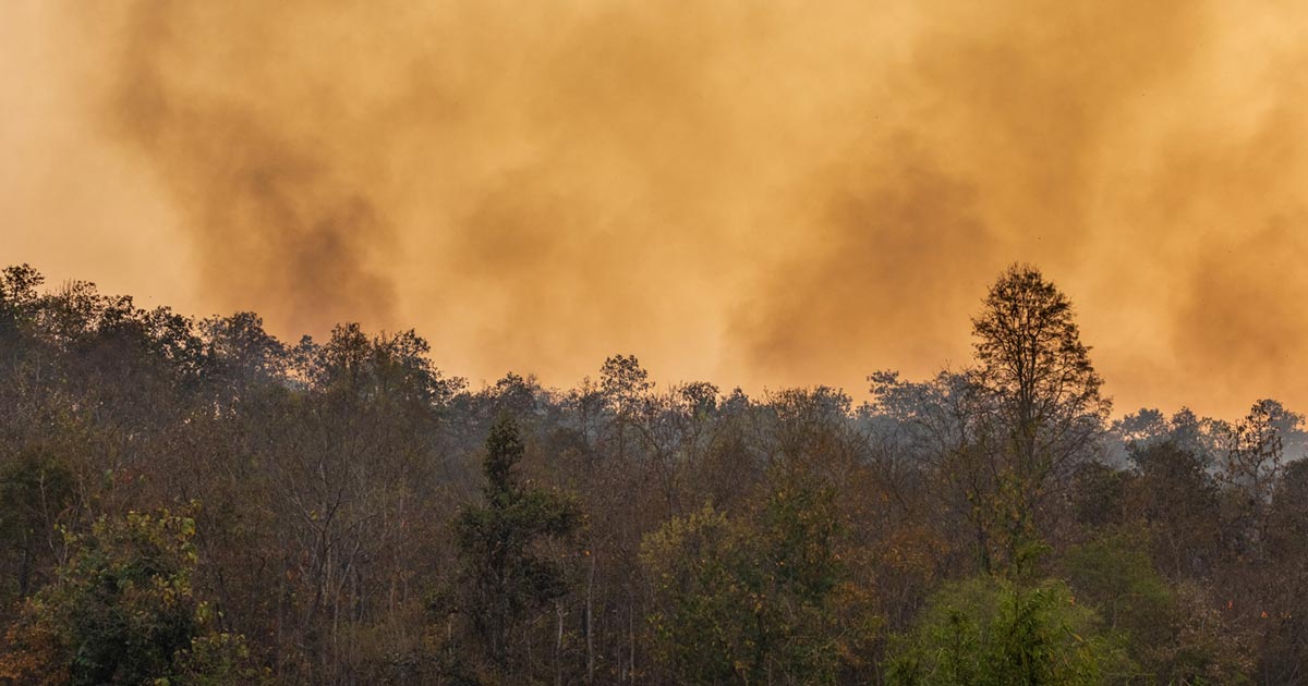 Como as Queimadas Influenciam na Concentração de Dióxido de Carbono em Ambientes Climatizados