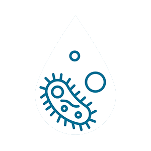 icon-bacterias-nb