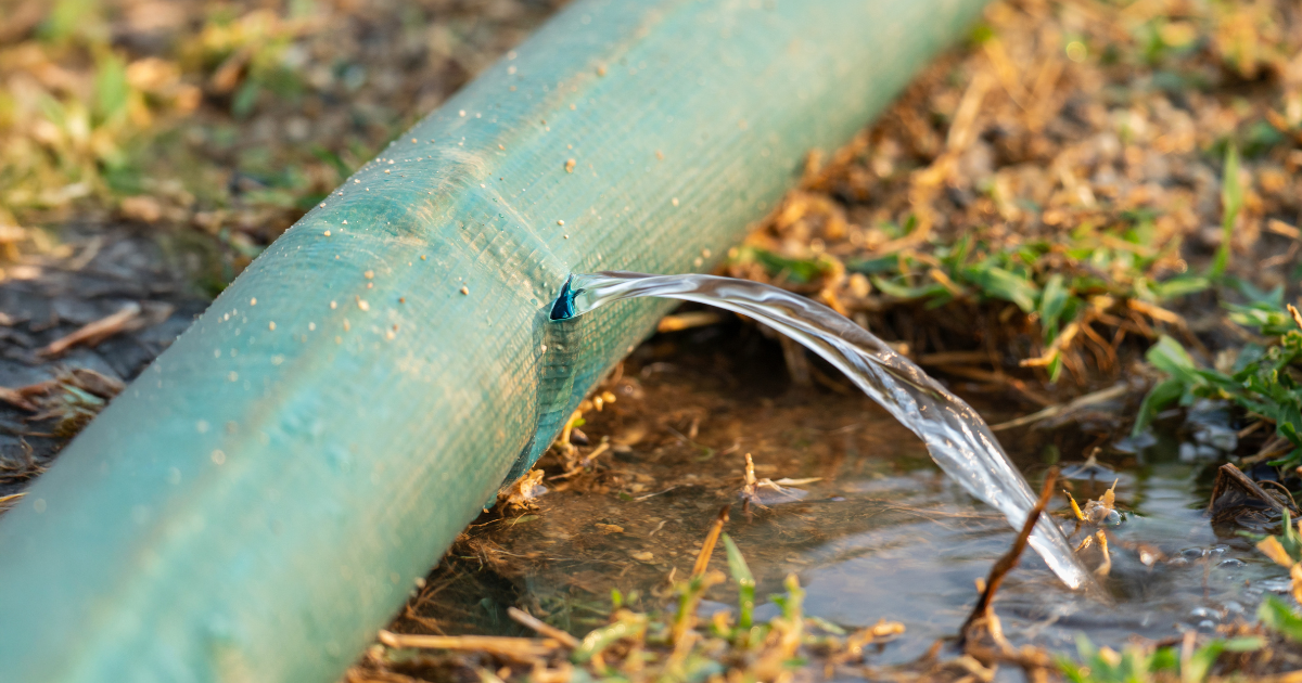 Contaminação da água pelo vizinho: como a análise identifica a origem do problema